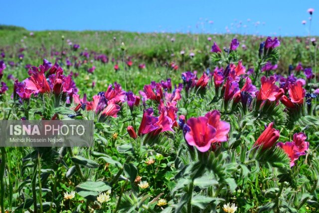 سفر به قله آسمان سرای رودبار + تصاویر